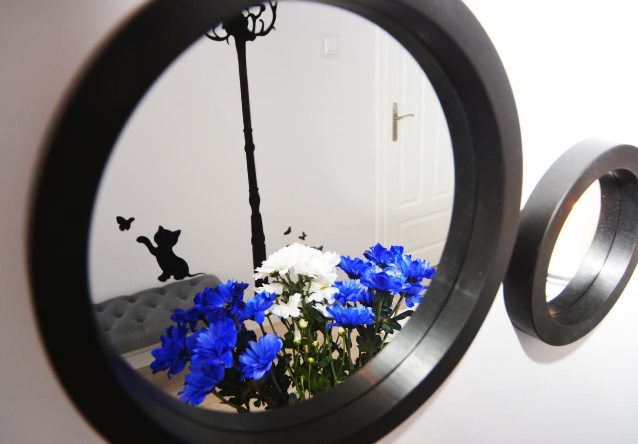 Apartament Pod Kopernikiem II Stary Toruń Kültér fotó